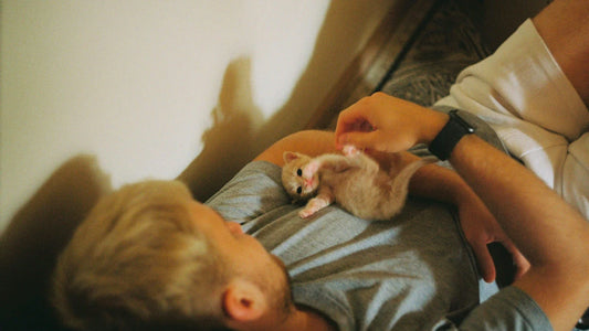 Les Cendres de Bois pour Animaux : Fausse Bonne Idée et Vrais Problèmes