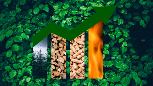 image du processus de transformation de pellets écologique de qualité premium